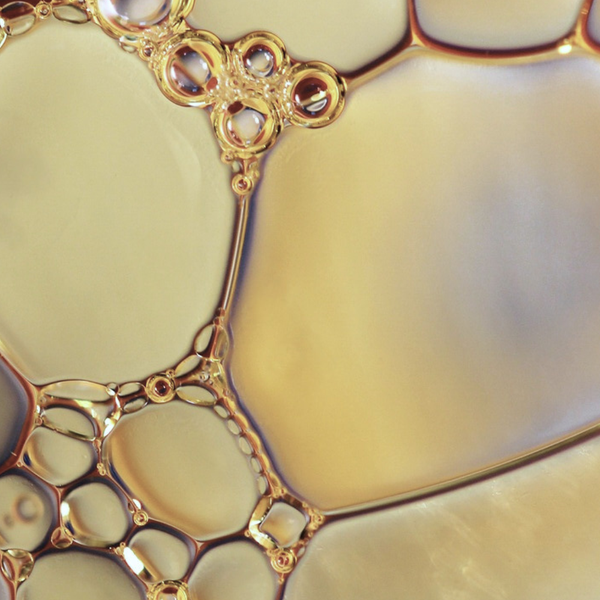 Huiles de jojoba et abricot